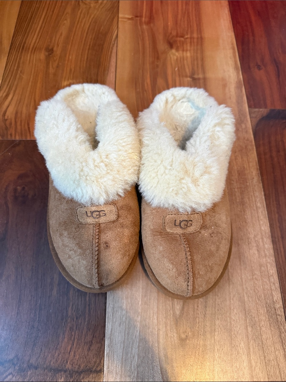 UGG Chestnut Suede Shearling Clog Slippers - Chestnut and Shearling